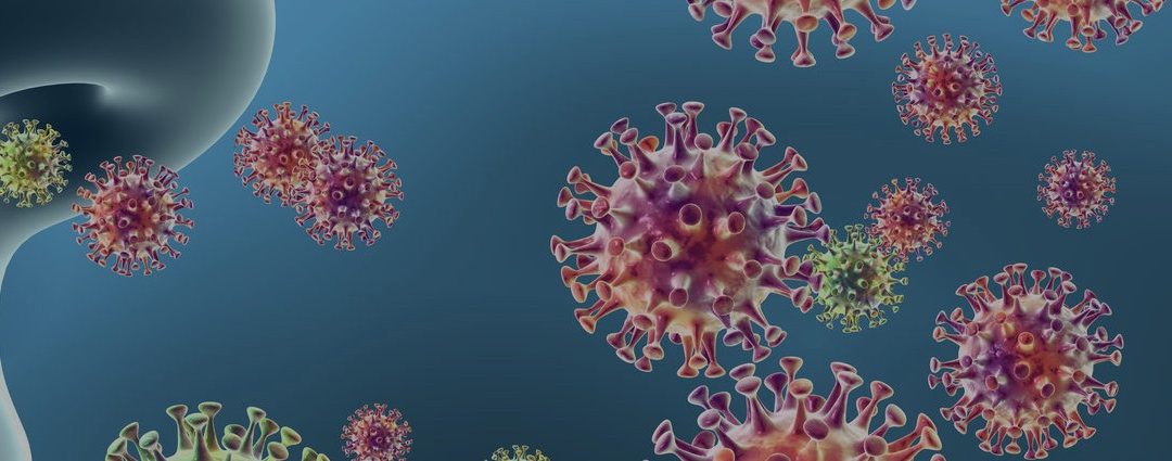 Koronavirus (SARS-CoV-2) – ključne informacije