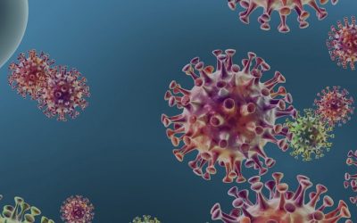 Koronavirus (SARS-CoV-2) – ključne informacije